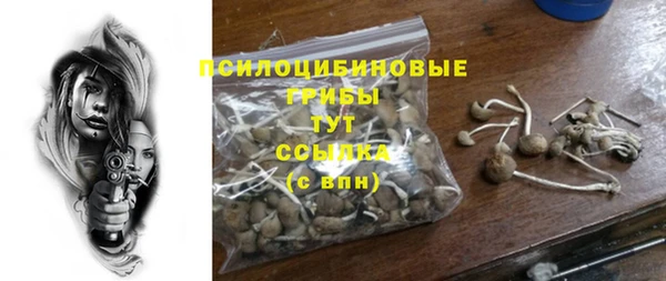 мдпв Ельня