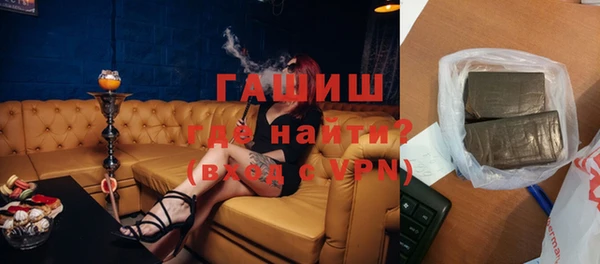 мдпв Ельня