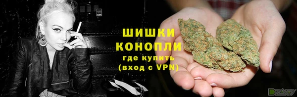 мдпв Ельня