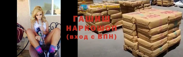 мдпв Ельня