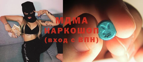 мдпв Ельня