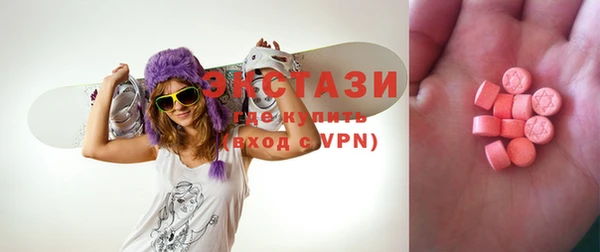 мдпв Ельня
