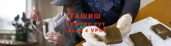 мдпв Ельня