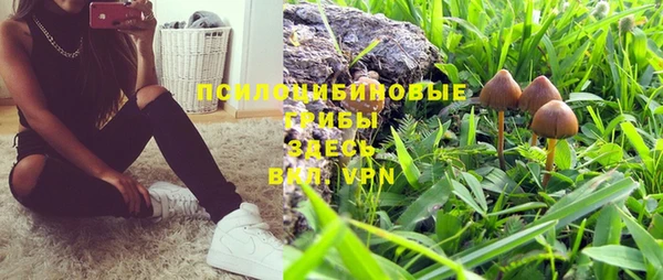 прущая мука Елизово