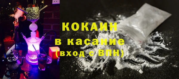 мдпв Ельня