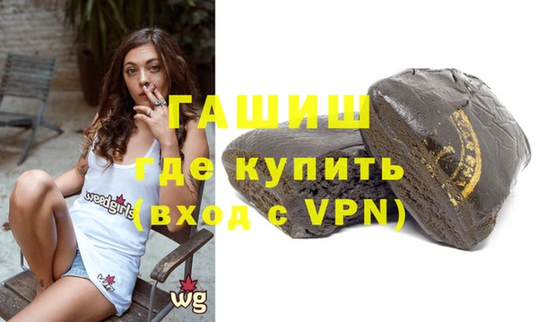 мдпв Ельня