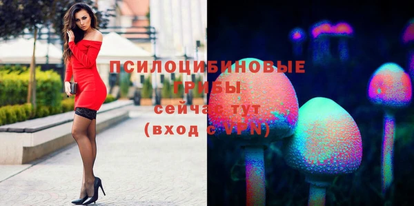 марки nbome Дмитровск