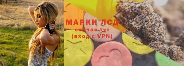 мдпв Ельня