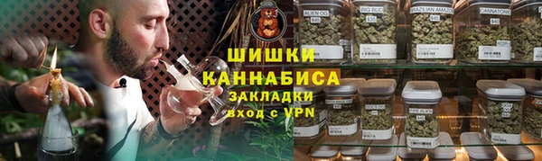 мдпв Ельня