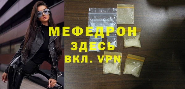 мдпв Ельня