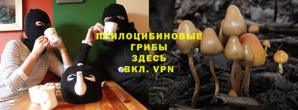 мдпв Ельня